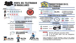 Read more about the article Conociendo el Uso del Teletrabajo en Pandemia en Magallanes